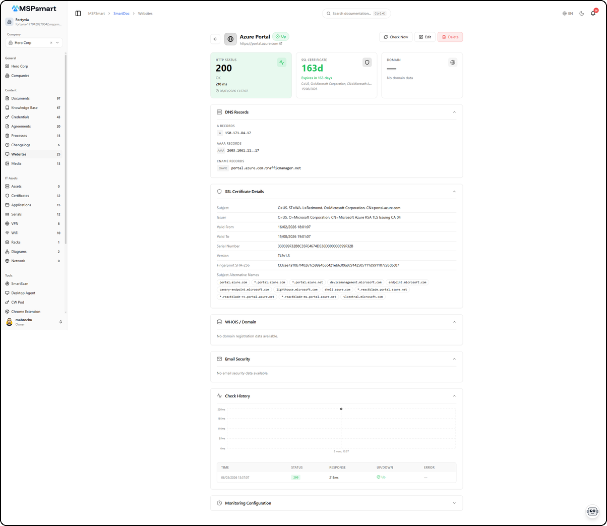 Website Detail - Azure Portal